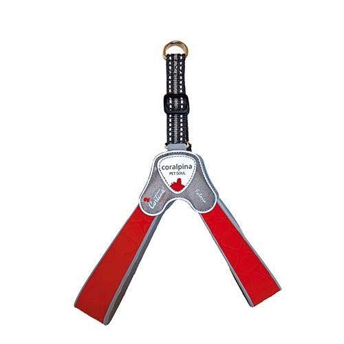 Luxe Coralpina - Hondenharnas - Faloria rood - Maat 1 – 20-30 cm / 0,8-3 kg