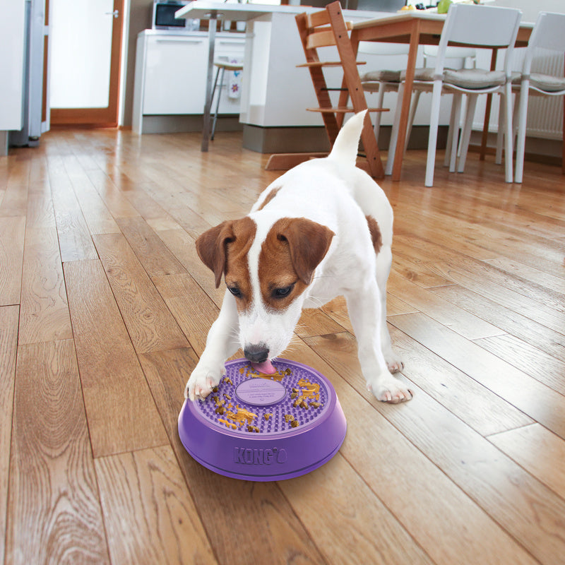 Kong dog lèche spinz petit violet licki mat