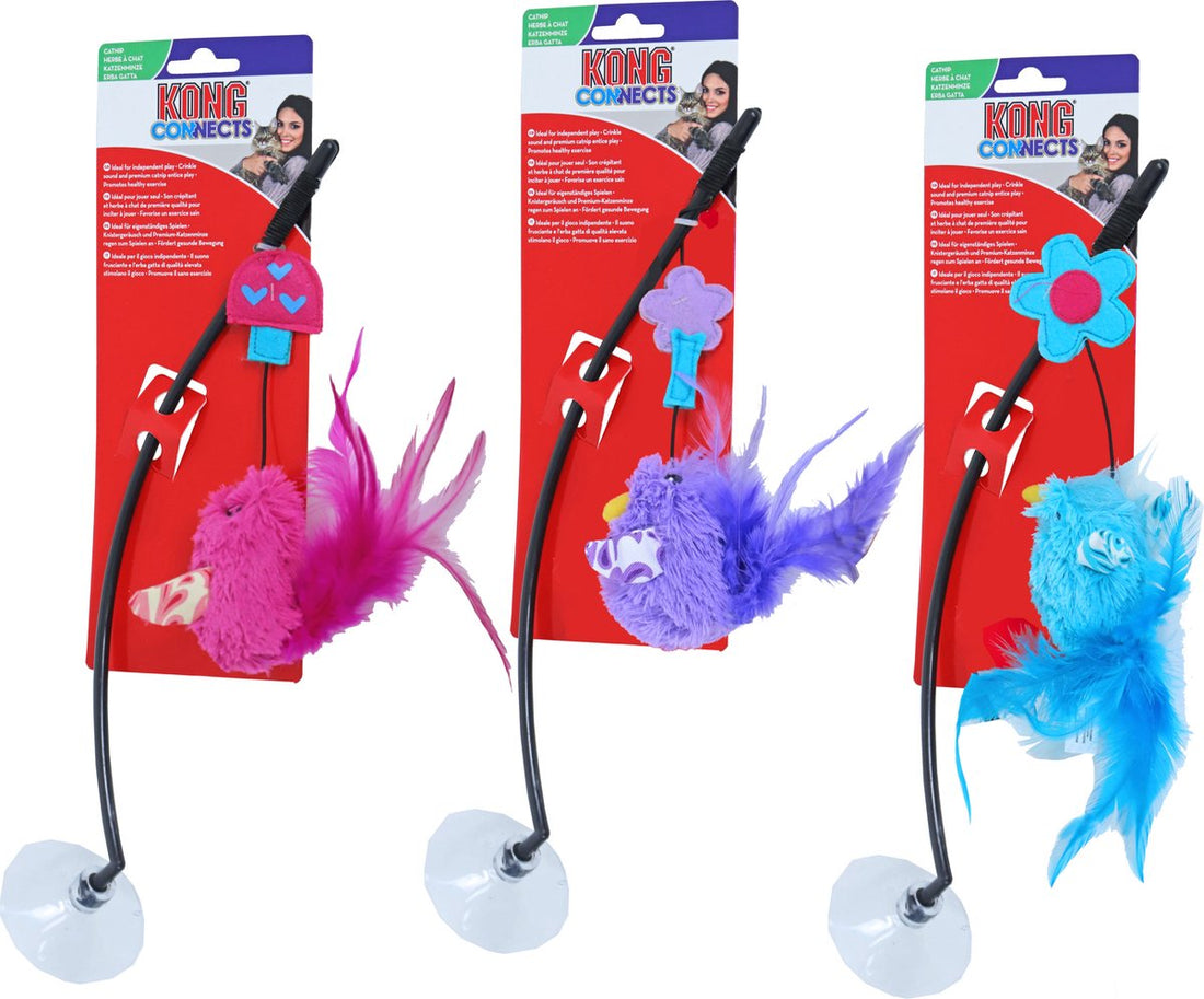 Kong Kat Window Teaser  - 33 x 8 x 4 cm - Assorti