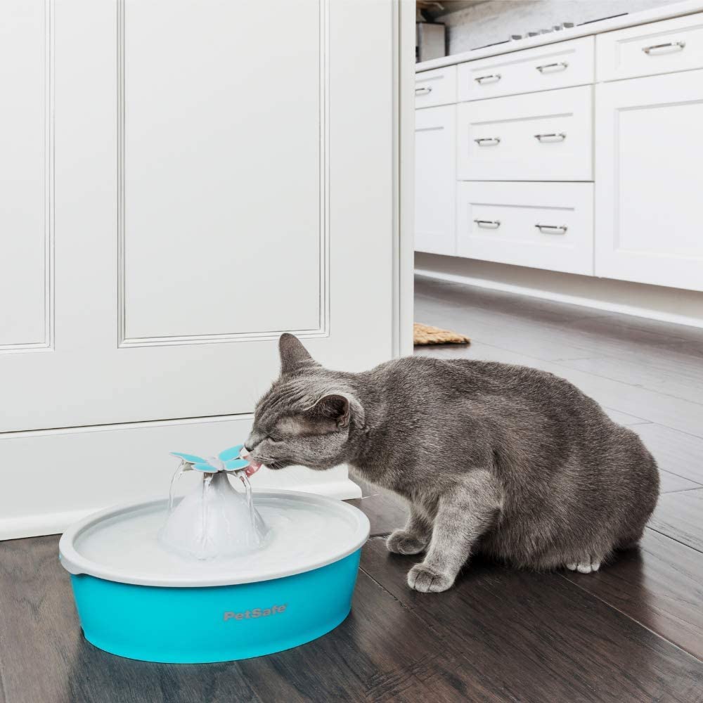 PetSafe Drinkwell drinkfontein Butterfly, 1,5 liter.