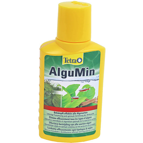 Tétra algumine