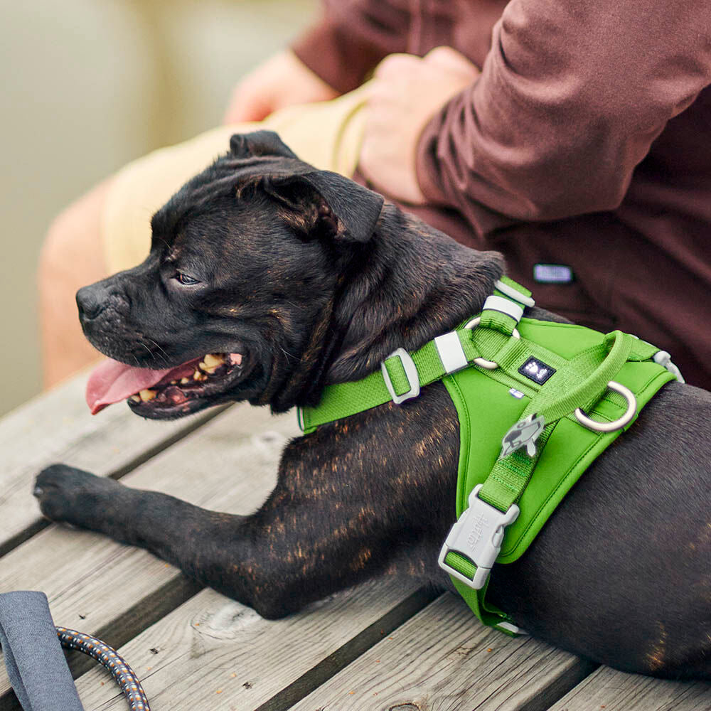 Hurtta weekend warrior harness eco 2 parsley groen
