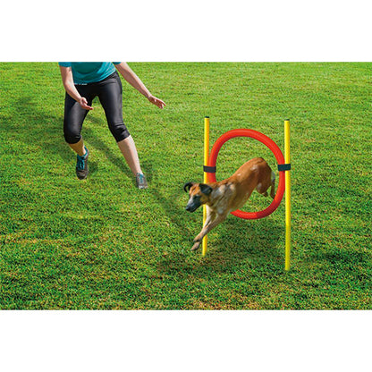 Beeztees Hondenspeelgoed Agility Hoepel Set – Diameter: 60 cm