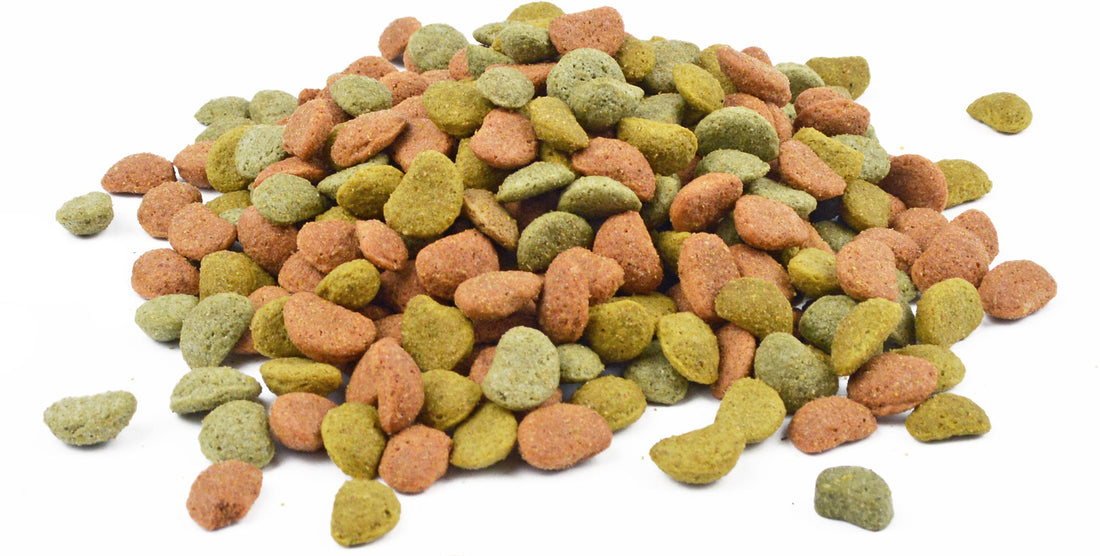 Papageienaufzuchtfutter Premium Obst 0,7 - 3 - 10 kg