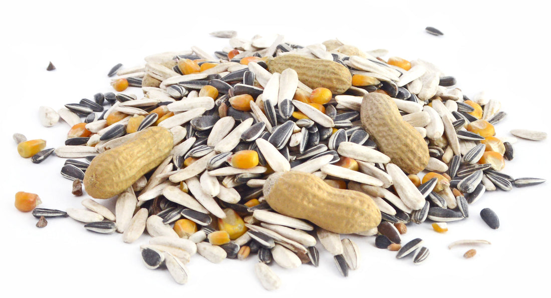 Papageienmischung eco bird-x Beutel 12,5 kg