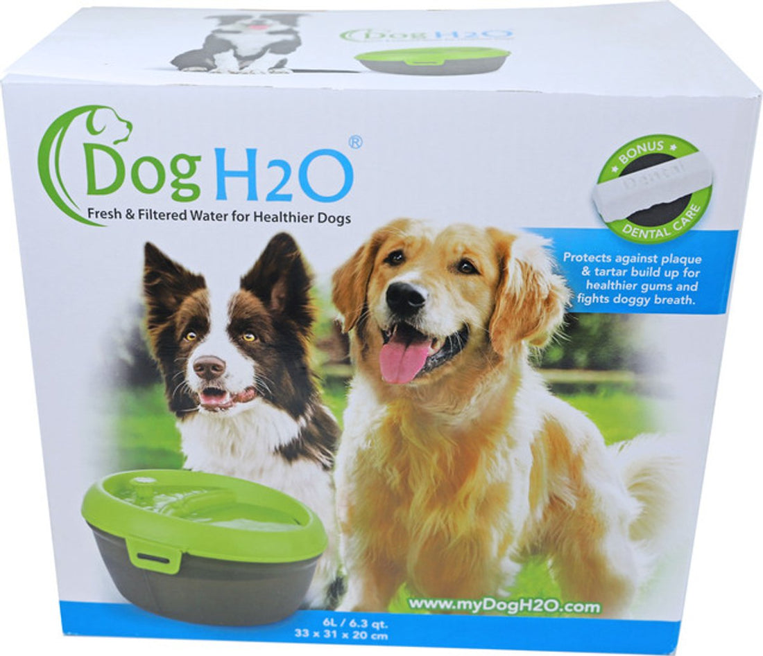 Drinkfontein hond H2O 6 Liter met filter