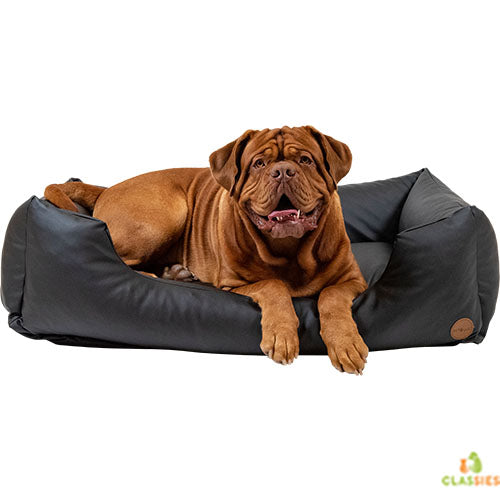 Jack and Vanilla Timeless Classy Sofa - Kunstleer - Zwart - 3 maten