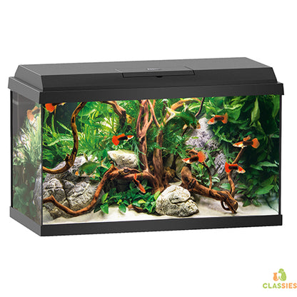 Aquarium Juwel Primo 70 - 70 litres - 61 x 31 x 44 cm - blanc ou noir