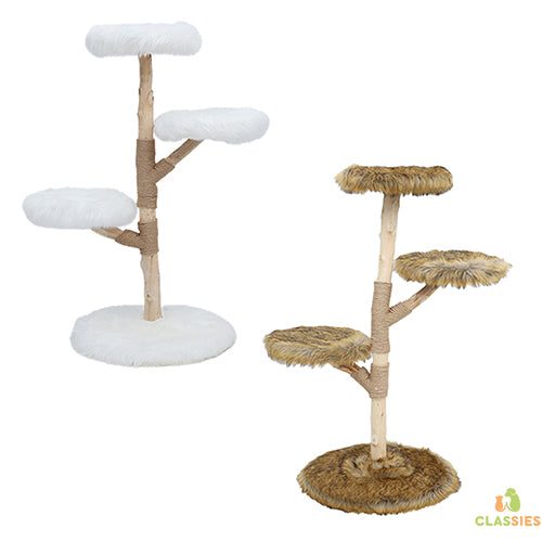 Boony Est1941 krabpaal klimboom Fagus bruin of wit