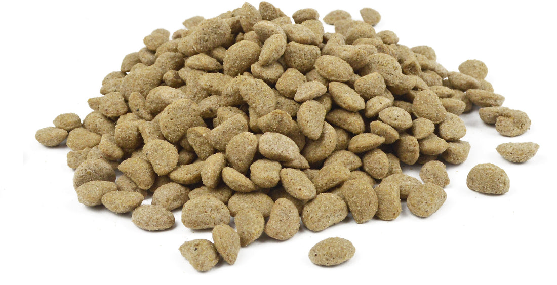 Bird-X Papageien-Aufzuchtfutter Premium Original Maintenance 3 - 10 kg