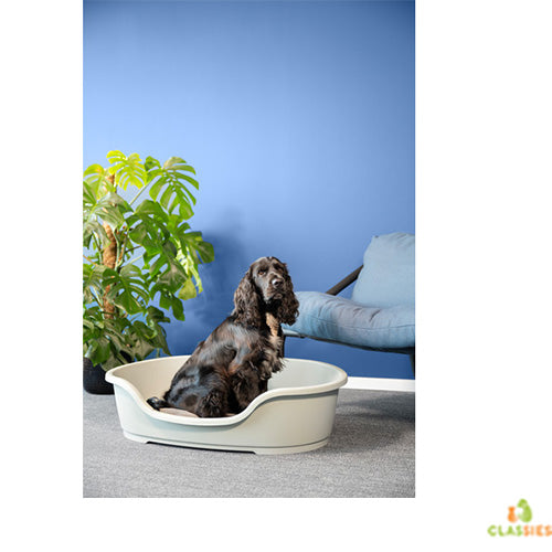 Moderna Domus Hundebetten aus Kunststoff – Schwarz oder Grau – 4 Größen