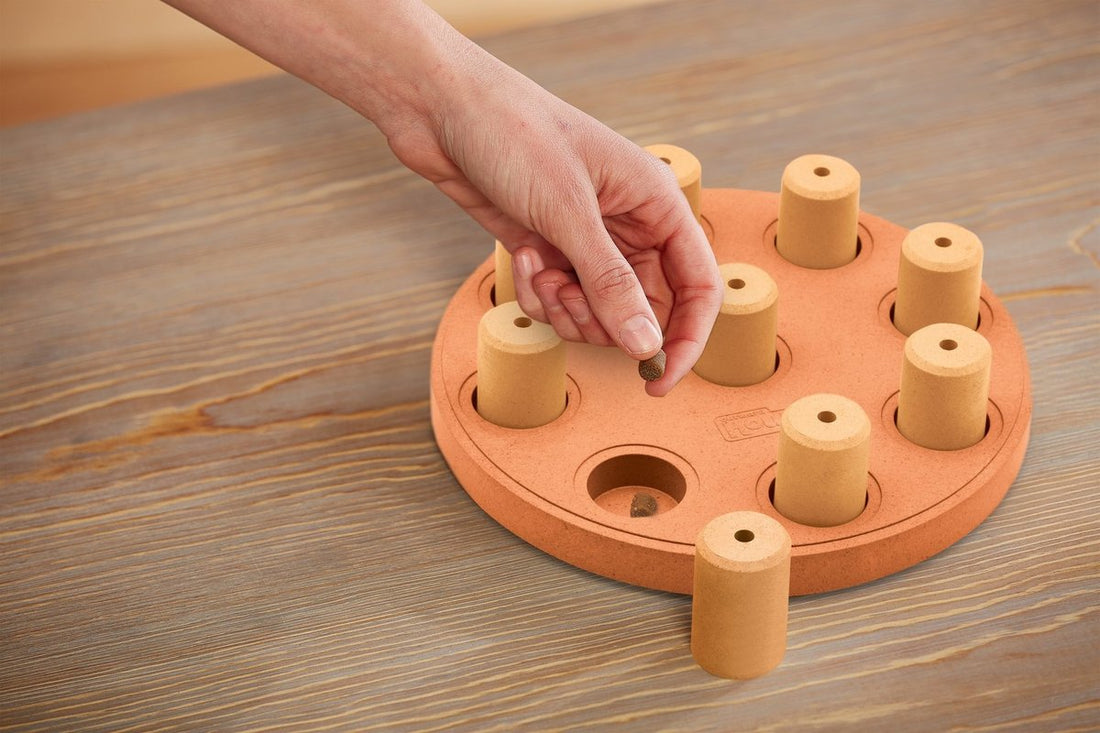 Hunde-Gehirnspiel Nina Ottosson Hund Smart Composite