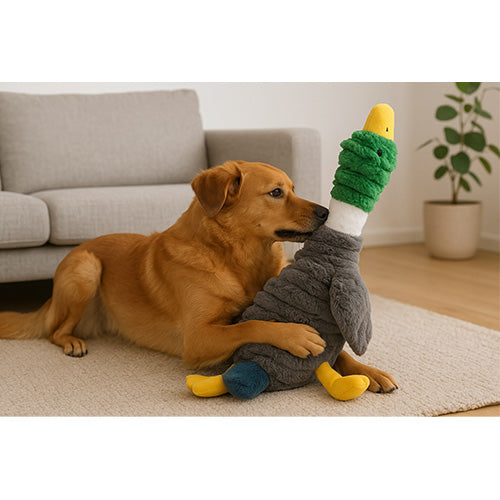 Die Bohne XL Und XXL Hundespielzeug aus weichem, strapazierfähigem Cordstoff – erhältlich in 3 verschiedenen Varianten und 2 Größen