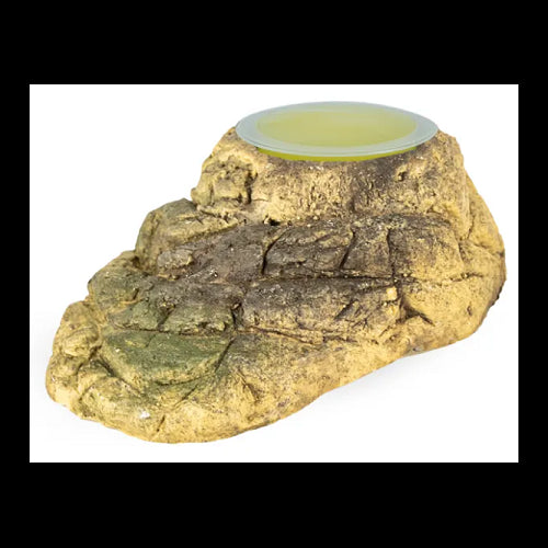 Back Zoo Nature Fruitkuip Houder Stone -  Afmetingen: ca. 10 x 6 x 3,5 cm