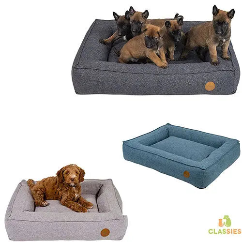 Jack and Vanilla Orthopedisch boxbed in 3 maten Classies