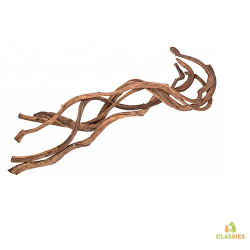 Pro Reptil Liana natur - 3 Größen