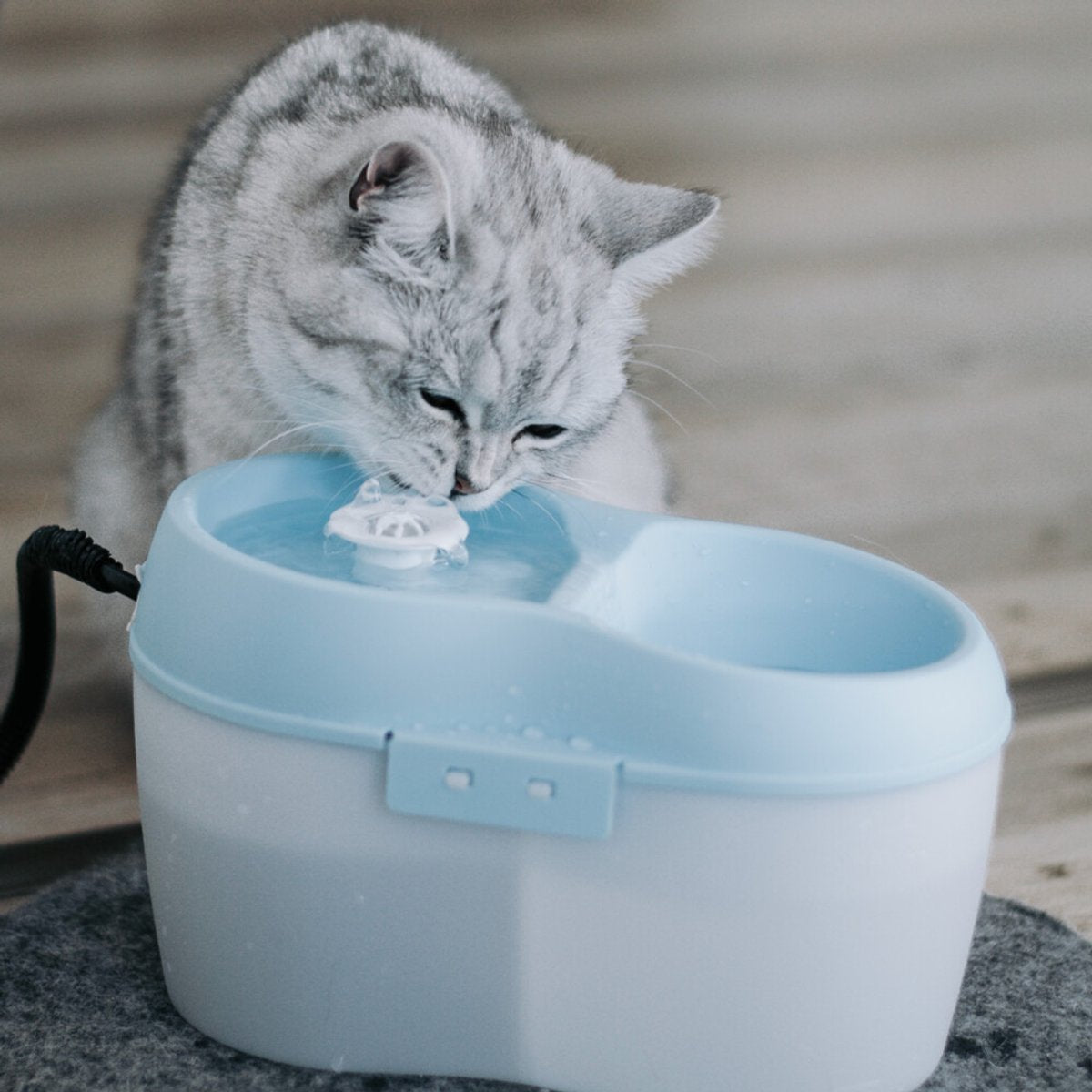 De Boon Waterbak drinkfontein Kat H20 2L