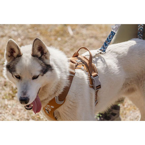 Hurtta hondenharnas - hondentuigje - weekend warrior