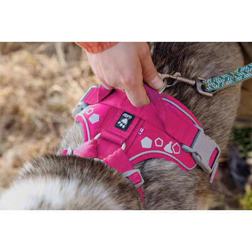 Hurtta hondenharnas - hondentuigje - weekend warrior