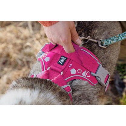 Hurtta hondenharnas - hondentuigje - weekend warrior