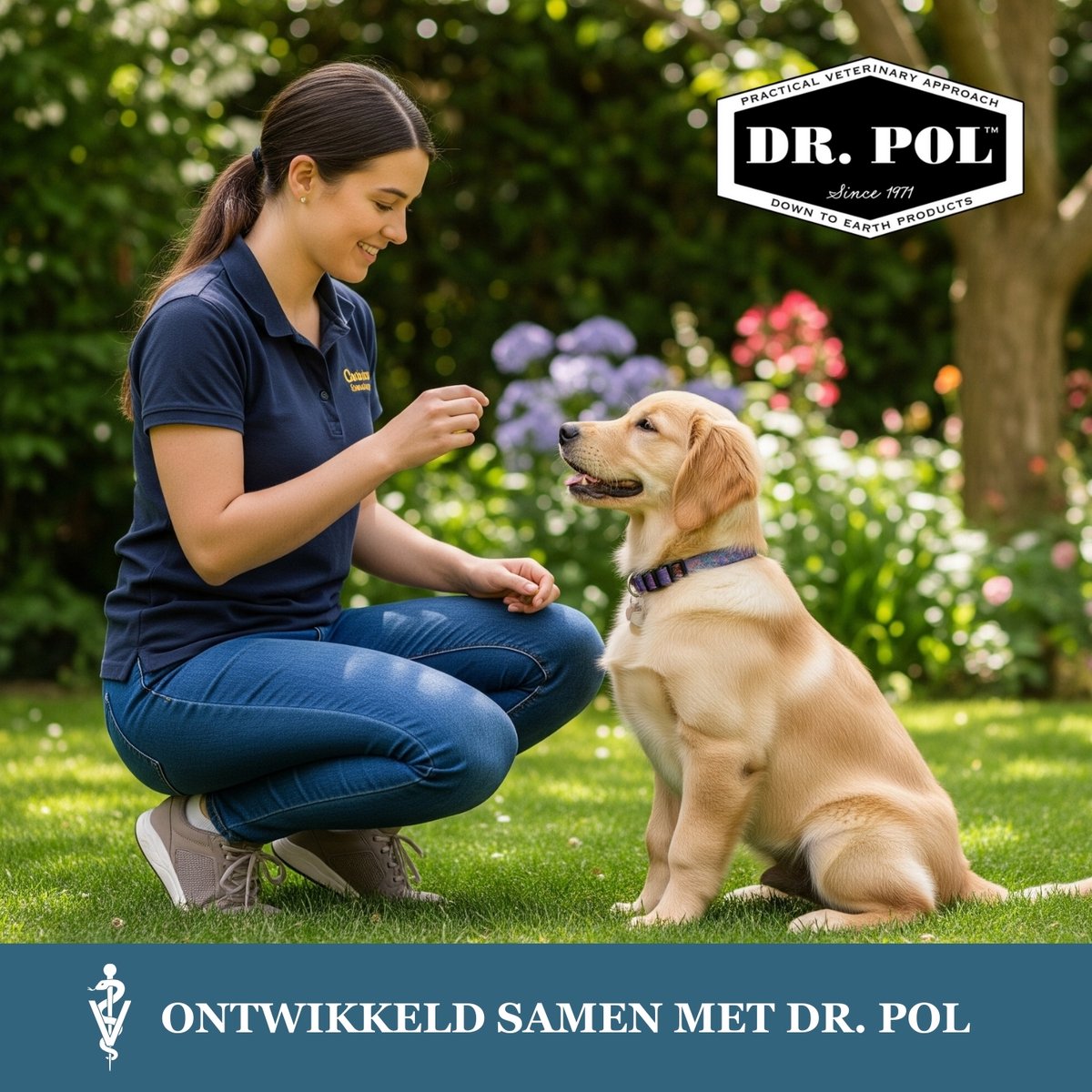 Dr Pol hondenvoer graanvrij - verse kip - 2 - 10 kg