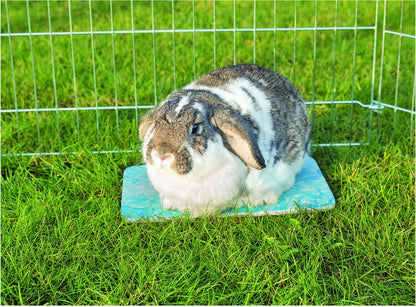 Trixie Koelplaat voor Kleine Dieren 28 x 20 cm