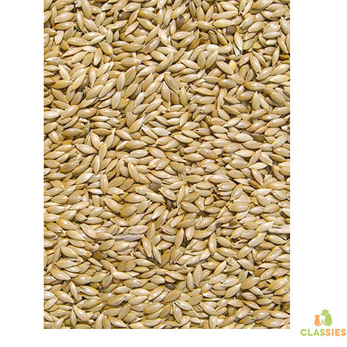 Platzaad kanariezaad alpist in zak 5 - 20 kg