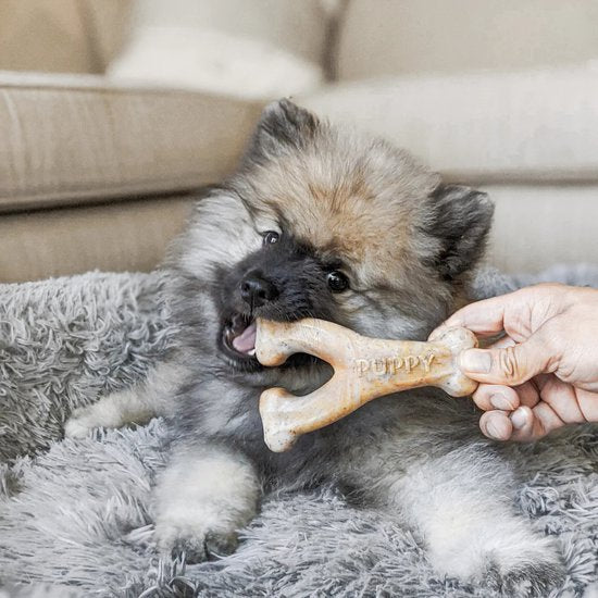 Benebone knaagspeelgoed Wishbone in verschillende maten en smaken