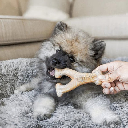 Benebone knaagspeelgoed Wishbone in verschillende maten en smaken