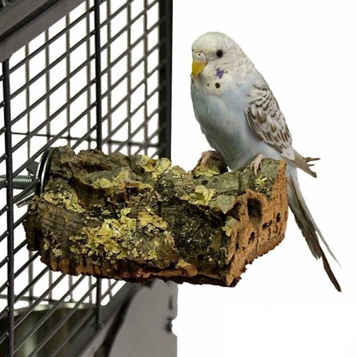 Back Zoo Nature Corky Chew Small