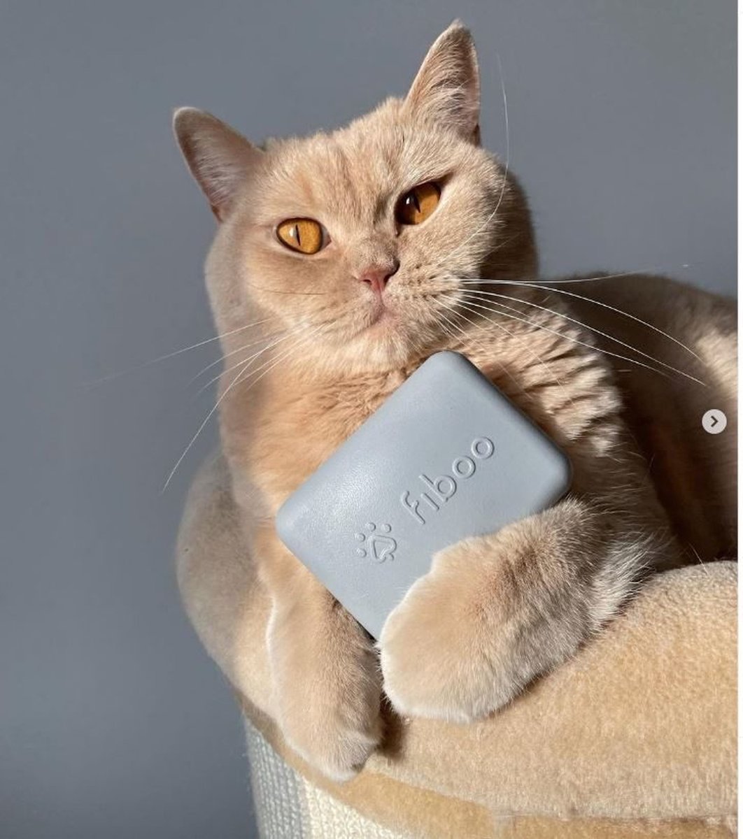 FIBOO - Kattenborstel - Massage Borstel - ECO - Harde Variant - 9x6,4x3,8 cm - 1 stuk