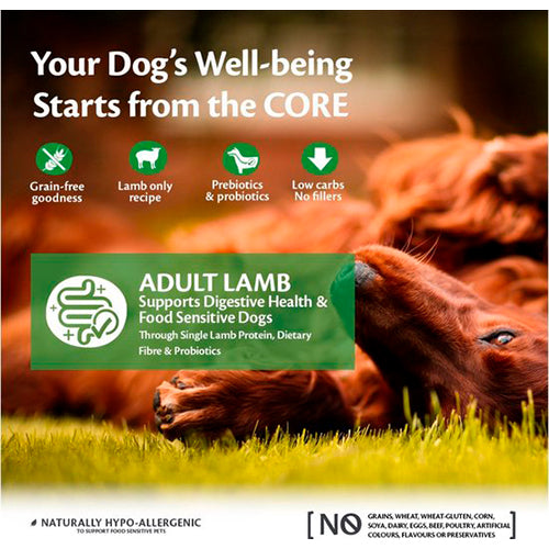 Wellness Core - Hondenvoer - Droogvoer - Adult - Lam - Graanvrij - 10 kg