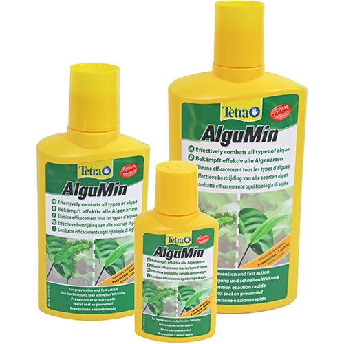 Tétra algumine