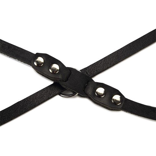 Beeztees Connex Verstelbare Leren Hondenriem/ Dressuurlijn  Zwart - 200 cm x 12 mm.