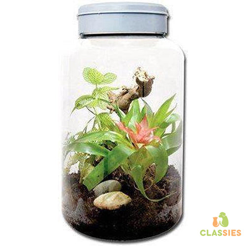 Insect Tarrium 5L