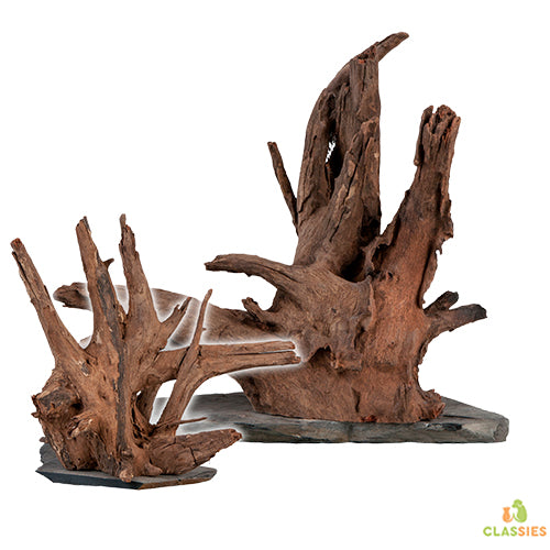 Sera Scaper Holz auf Schieferplatte