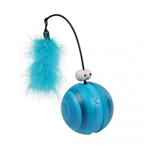Coockoo - Hond - Coockoo Flip 12,2x12,2x13,1cm Blauw
