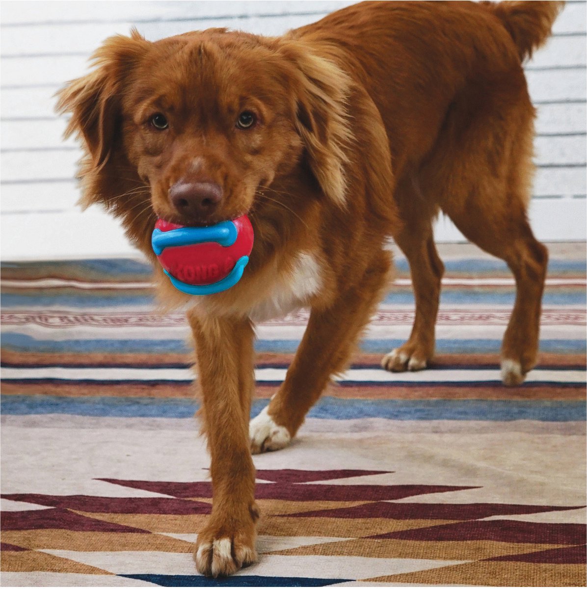 Kong Jaxx Brights Ball Assorti