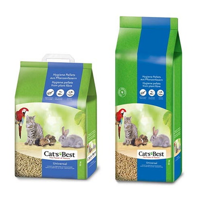 Cat&