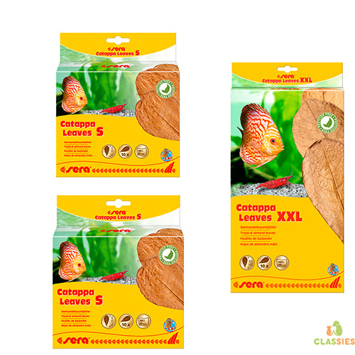 Sera Catappa-Blätter S - M - XXL