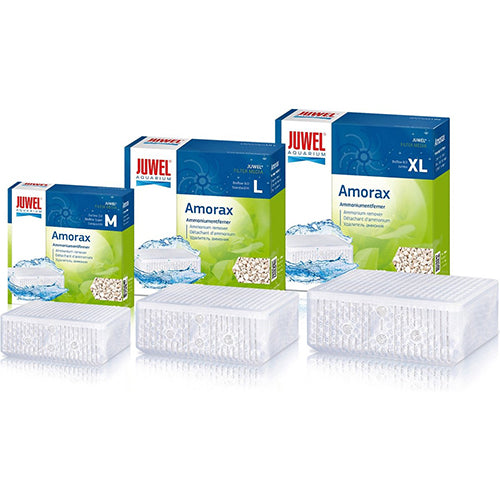 Juwel amorax - M - L - XL