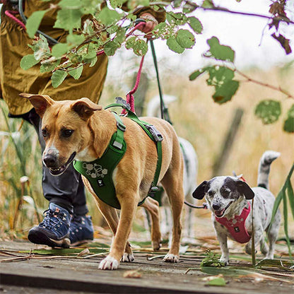 Hurtta Weekend Warrior Harnas ECO 2 - Kleur: Desert/ Bruin - Verkrijgbaar in 5 maten