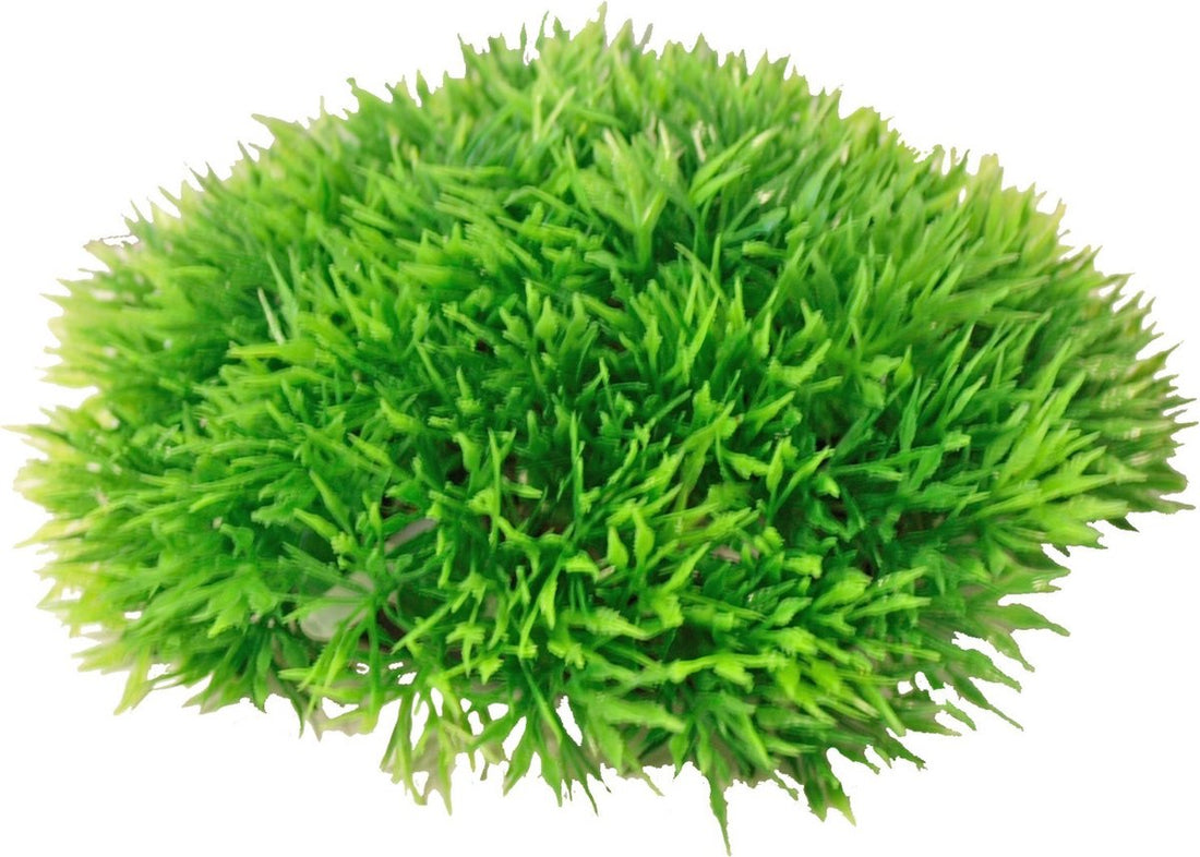 Boon Aqua Deco Bubble Plante Artificielle Mousse Verte en Plastique - Avec Fleur - 14x6 cm