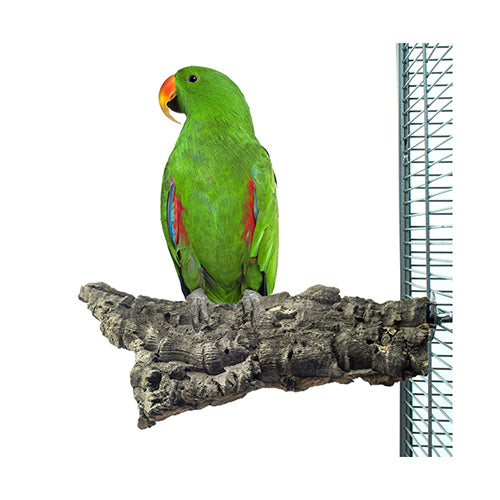 Back Zoo Nature Corky Chew Large