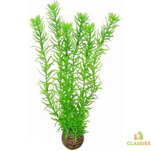 Superfish Easy Plant Hoog Nr. 1 - Kunstplant - 30 cm