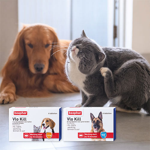 Beaphar Vlo Kill - Doodt vlooien die op de hond of kat zitten - Verkrijgbaar voor hond en kat