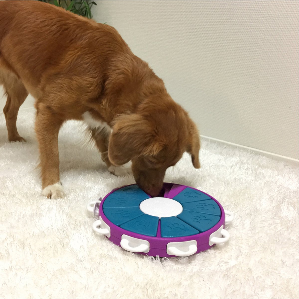 Nina Ottosson - Dog Twister - Hondenspeelgoed Intelligentie - Anti-schrok speelgoed