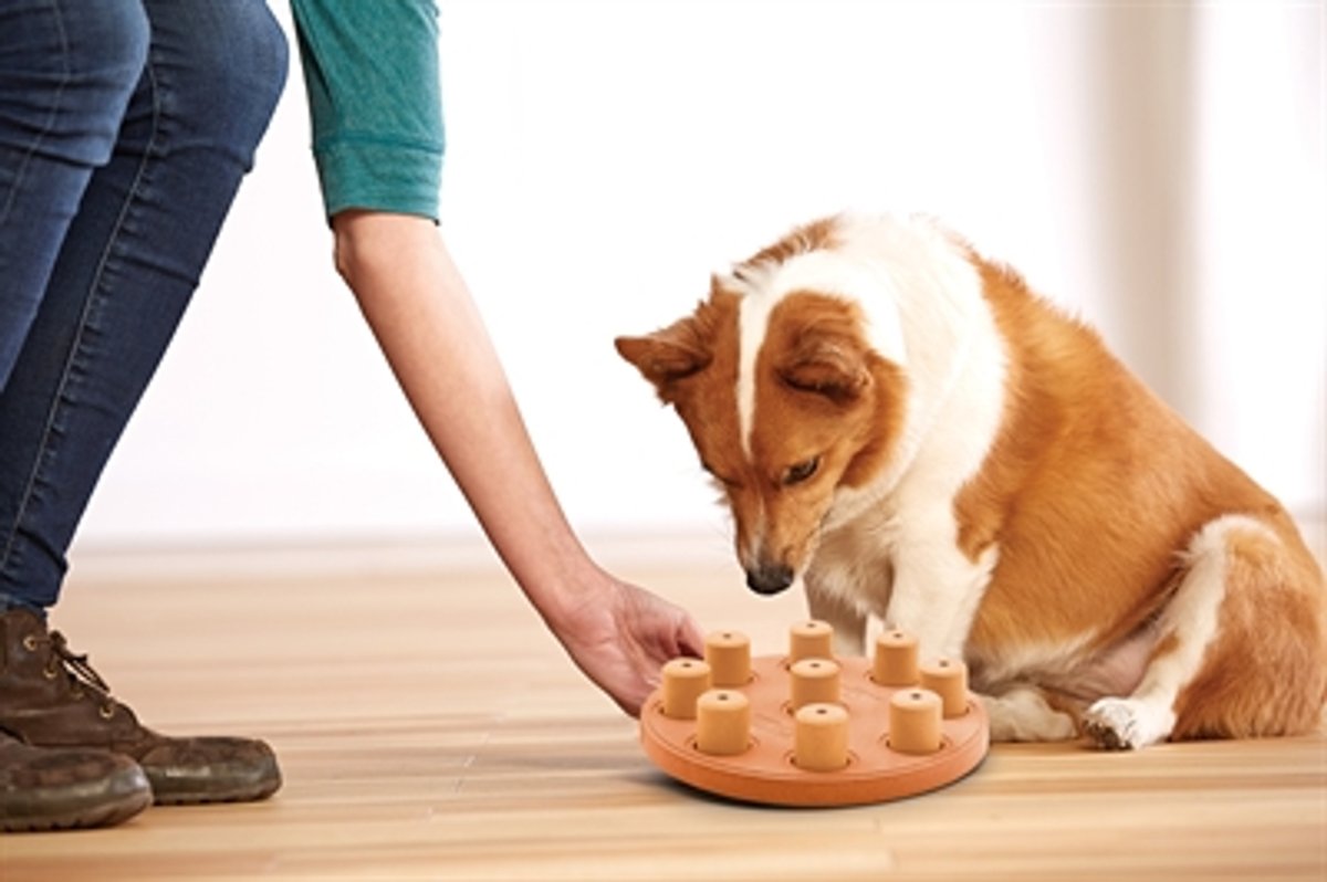Hondendenkspel Nina Ottosson dog smart composite