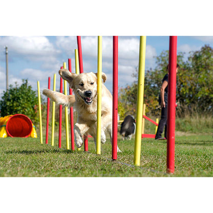Agility-set 6x stok 1x springring en 1x agility-horde