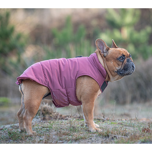 Jack and Vanilla Dogwalk - Warme Hondenjas - Jacket Puffer Berlin - Kleur Roze - Verkrijgbaar in 8 maten